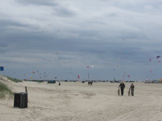 Many kites at Fanø 2007