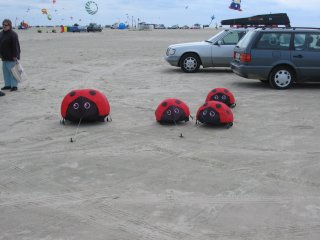 Ladybug bouncers