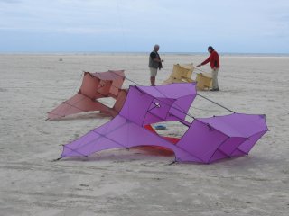 Cody Kites