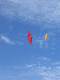 unknown kites