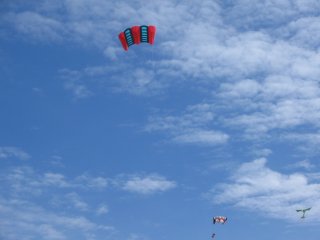 Soft sled kite