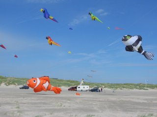Fish and Parrot Kite laundry