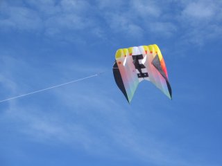 Flowform kite