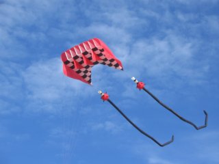 Flowform kite