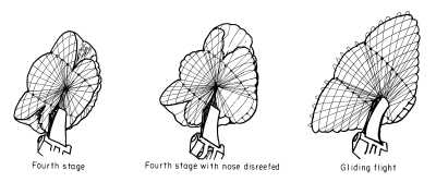 NASA dual keel parawing reefing stages