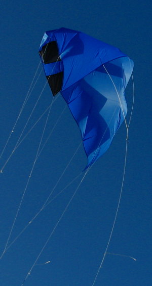Rata Jet kite side view