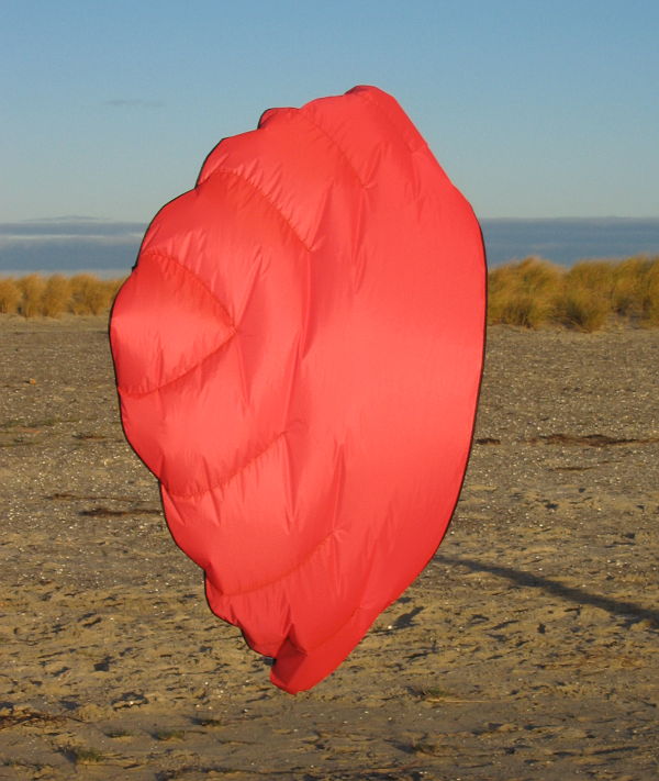 rata wing kite back view