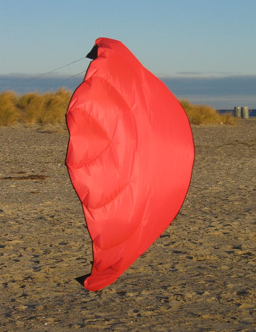 rata wing kite back view