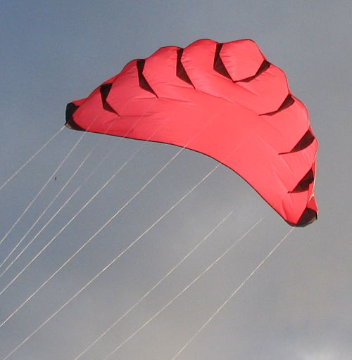 rata wing kite front view