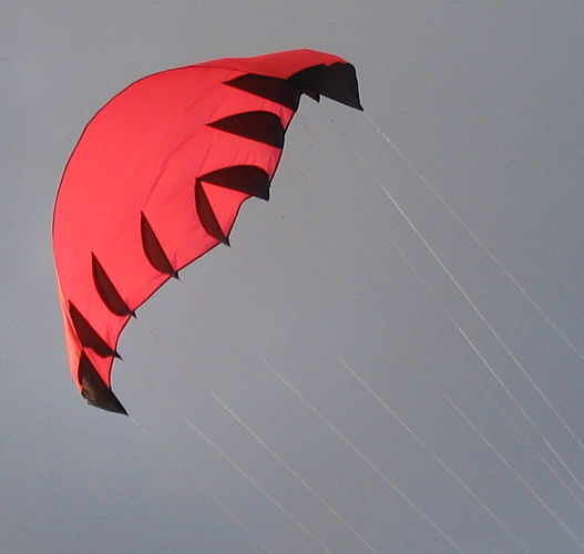 rata wing kite tail view