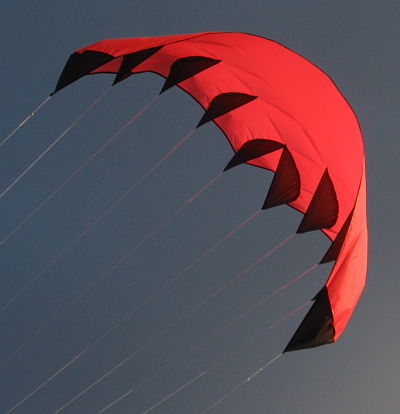 rata wing kite tail view
